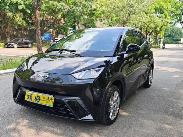 BYD Seagull 2024
