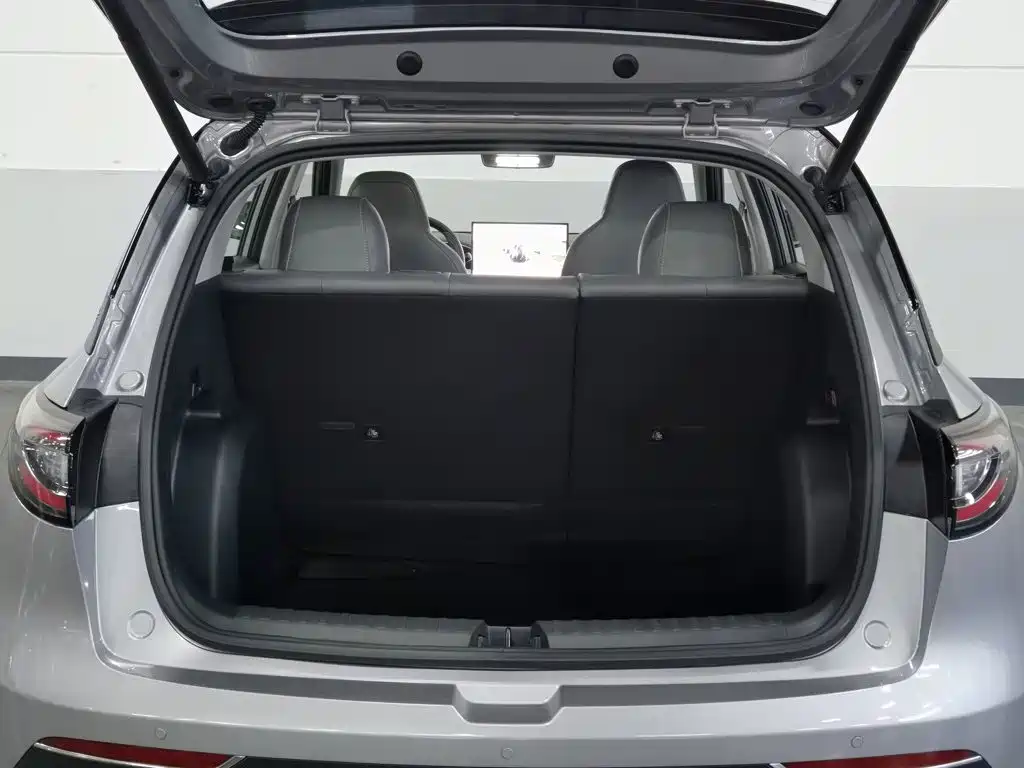 Geely Galaxy Starwish 2025 — фото 16
