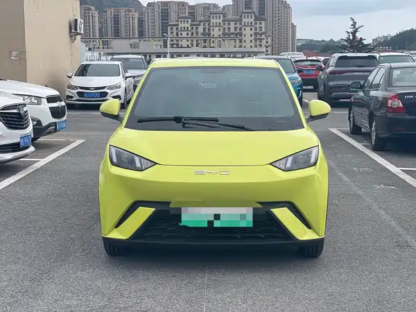 BYD Seagull 2024