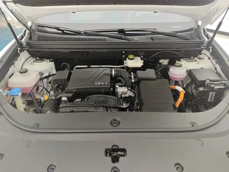 BYD Pro New Energy 2024 — фото 10