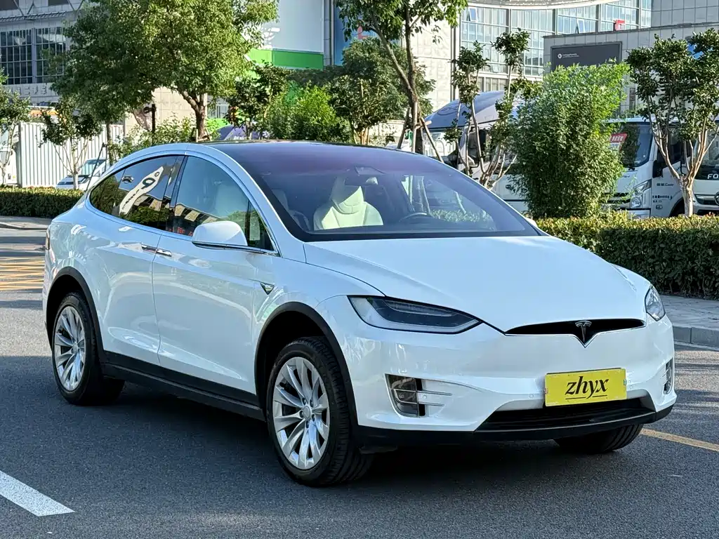 Tesla Model X 2017 — фото 19