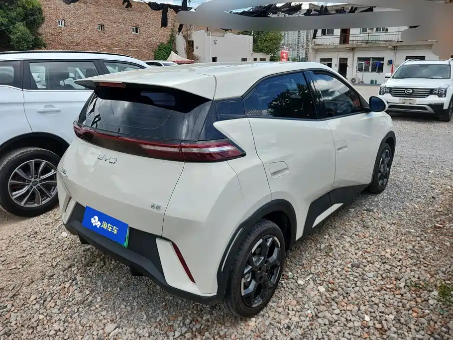 BYD Seagull 2024