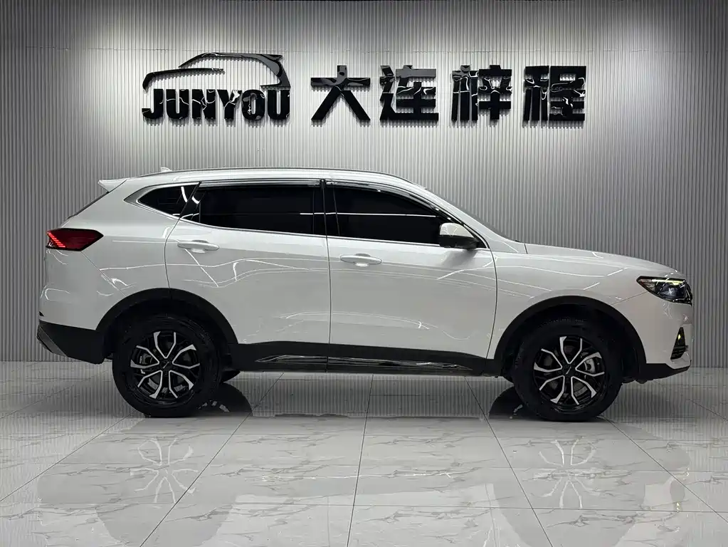 Haval H6 2023 — фото 8