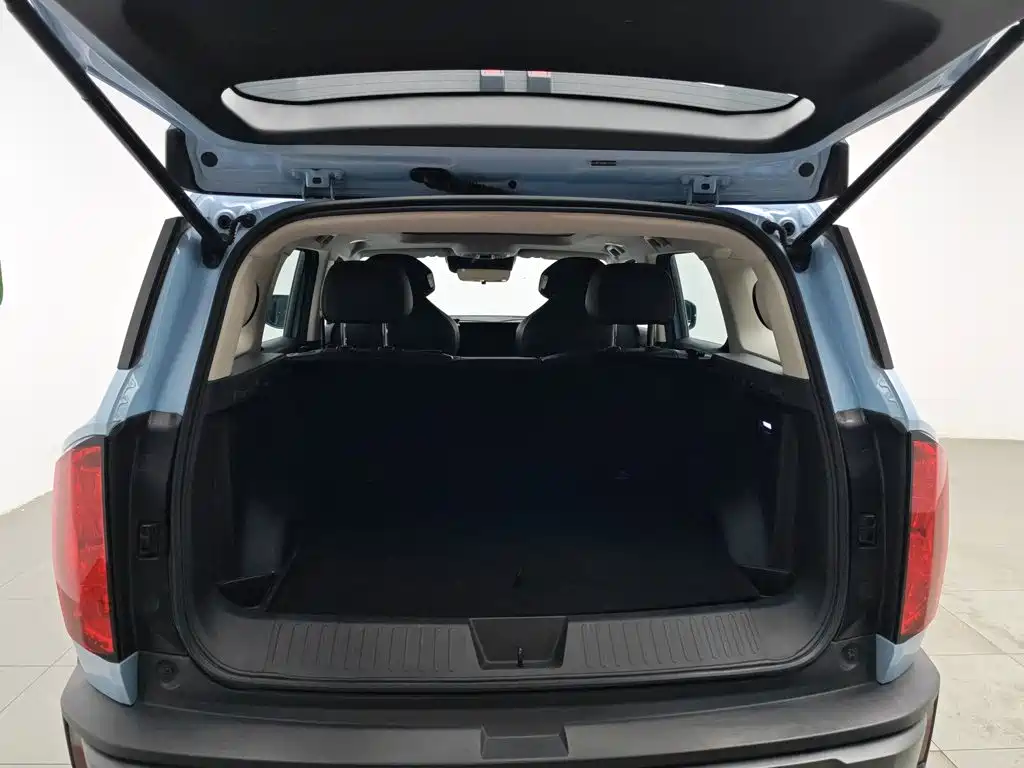 Haval Cool Dog 2023 — фото 16