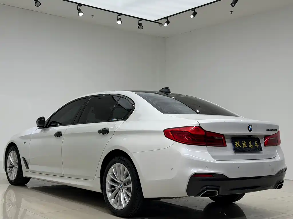 BMW 5 Series 2020 — фото 14
