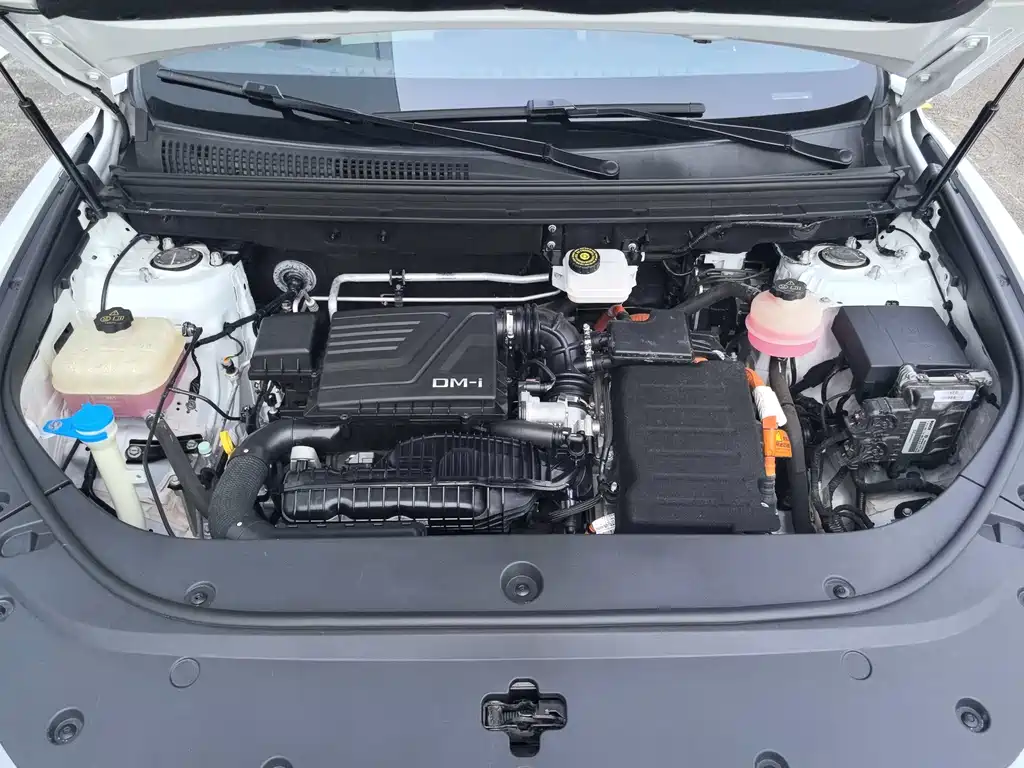 BYD Pro New Energy 2022 — фото 20