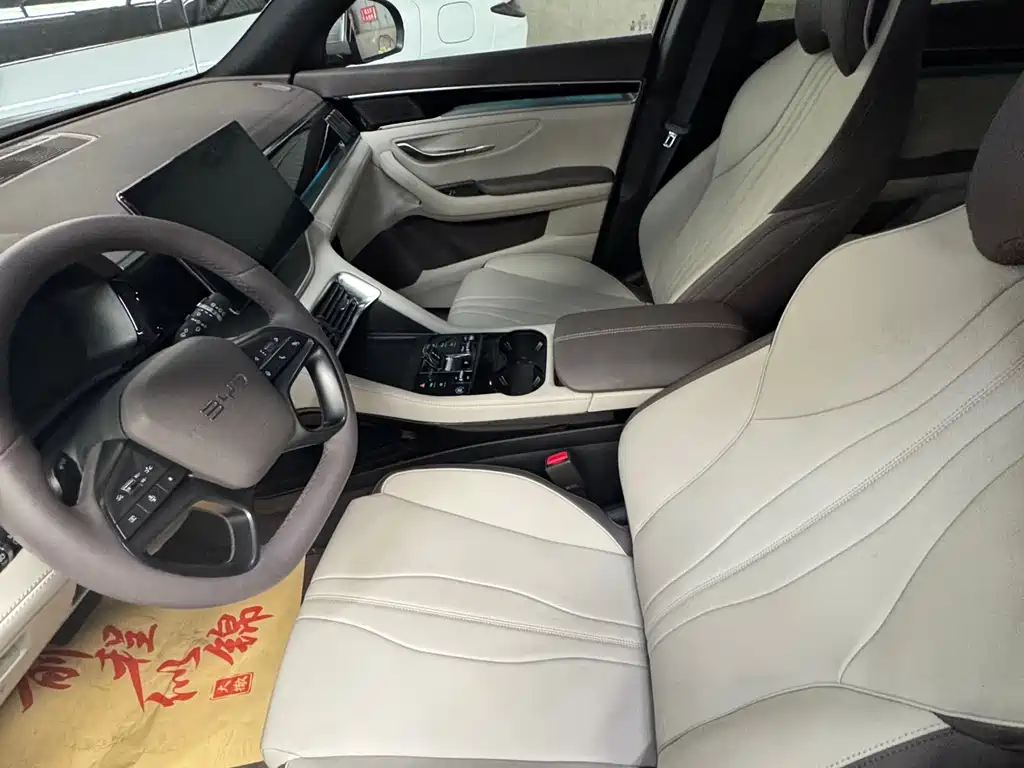 BYD PLUS New Energy 2025 — фото 10