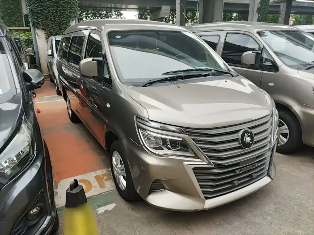 Dongfeng Lingzhi 2025