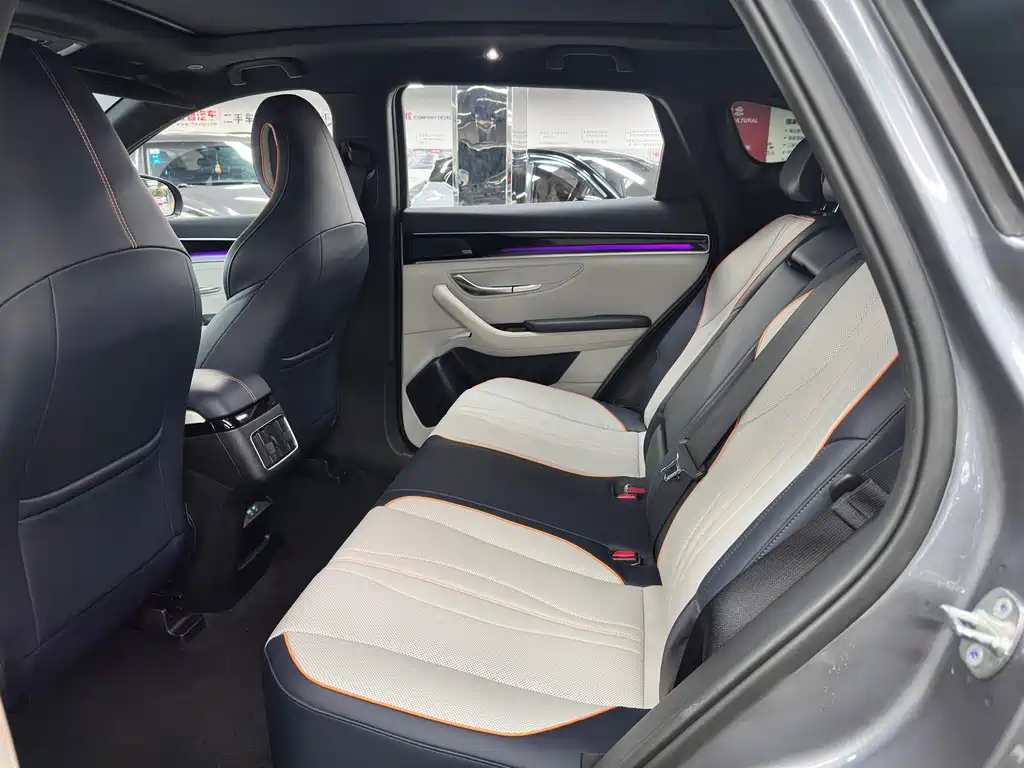 BYD Song PLUS New Energy 2021 — фото 9