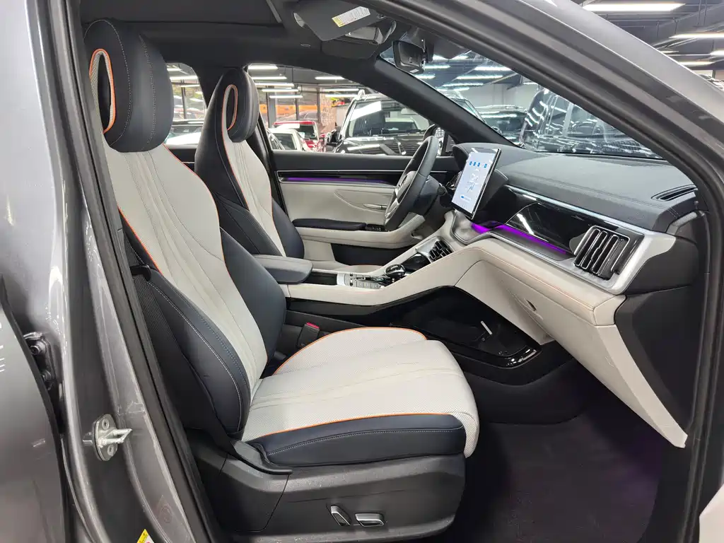 BYD Song PLUS New Energy 2021 — фото 10