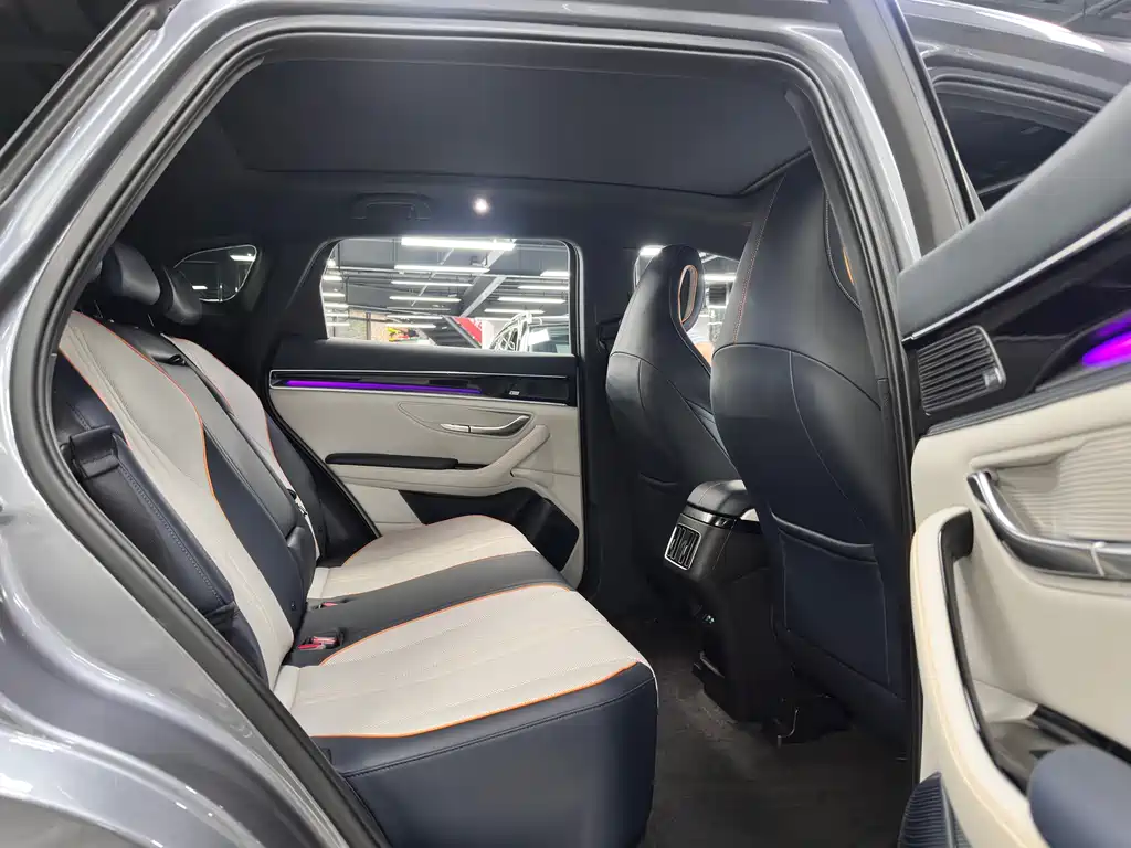 BYD Song PLUS New Energy 2021 — фото 11