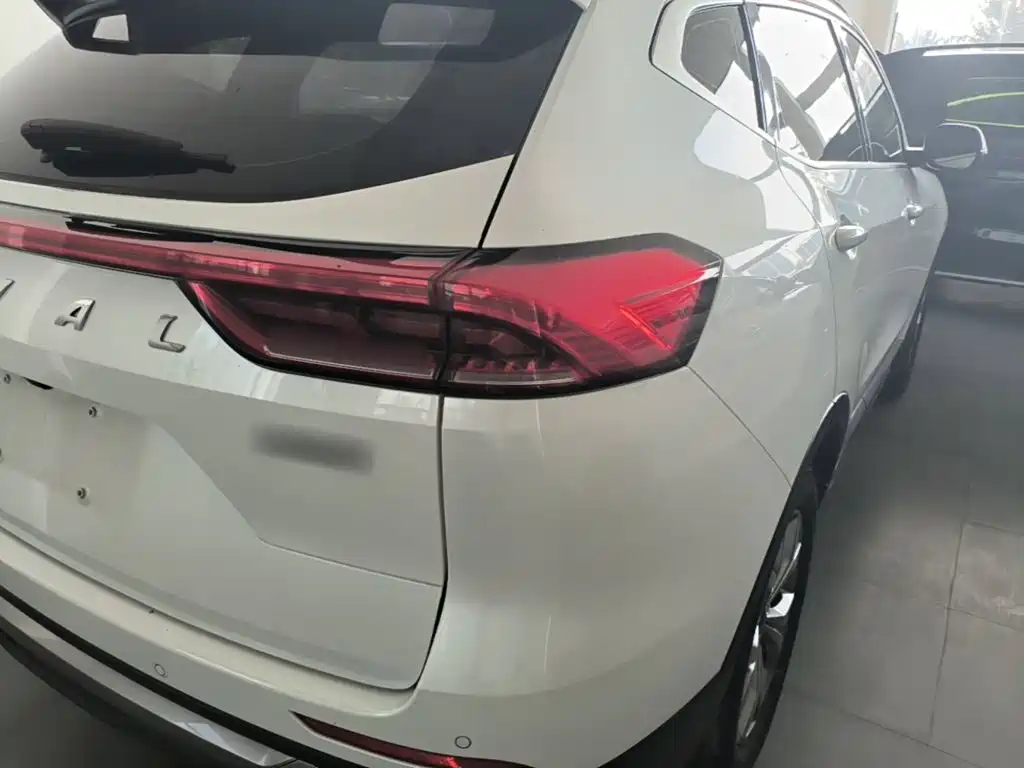 Haval H6 2021 — фото 8