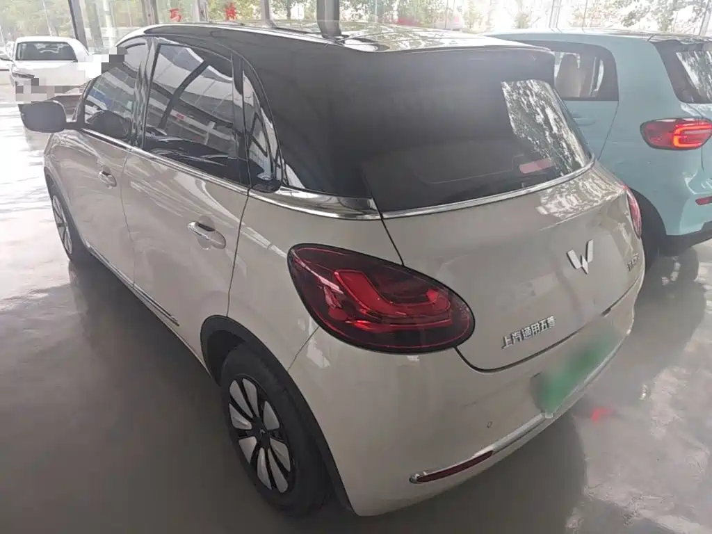 Wuling Bingo 2024