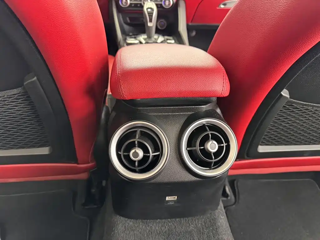 Alfa Romeo Giulia 2020 — фото 22