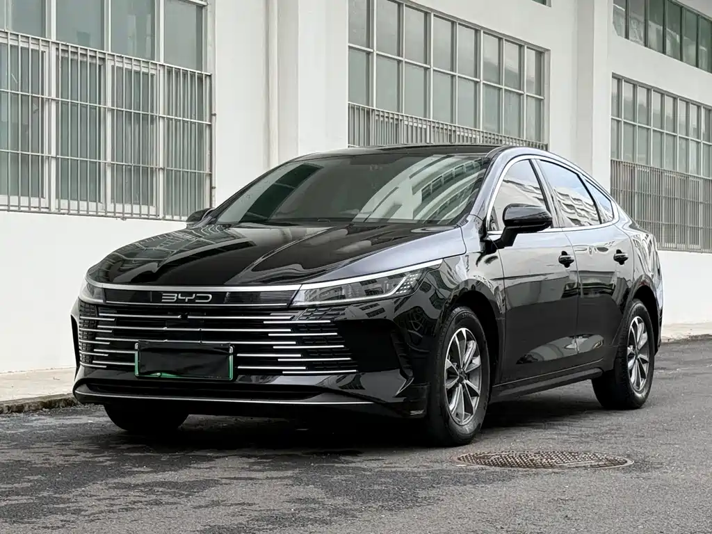 BYD Destroyer 05 2024 — фото 1