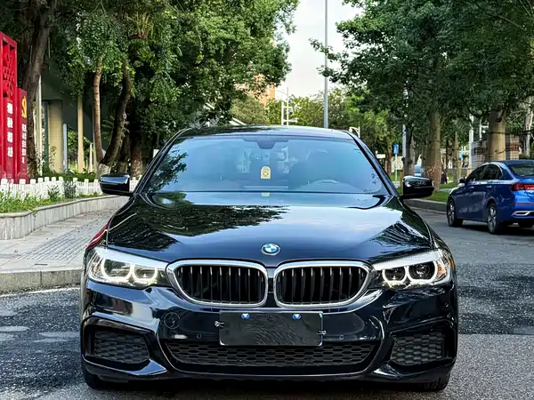 BMW 5 Series 2019