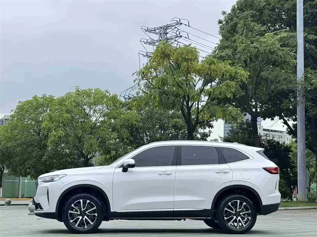 Haval H6 2021 — фото 4