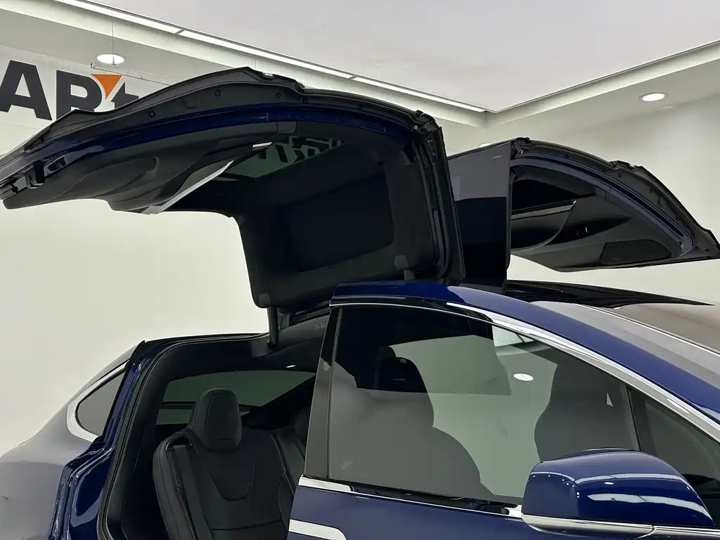 Tesla Model X 2017 — фото 15