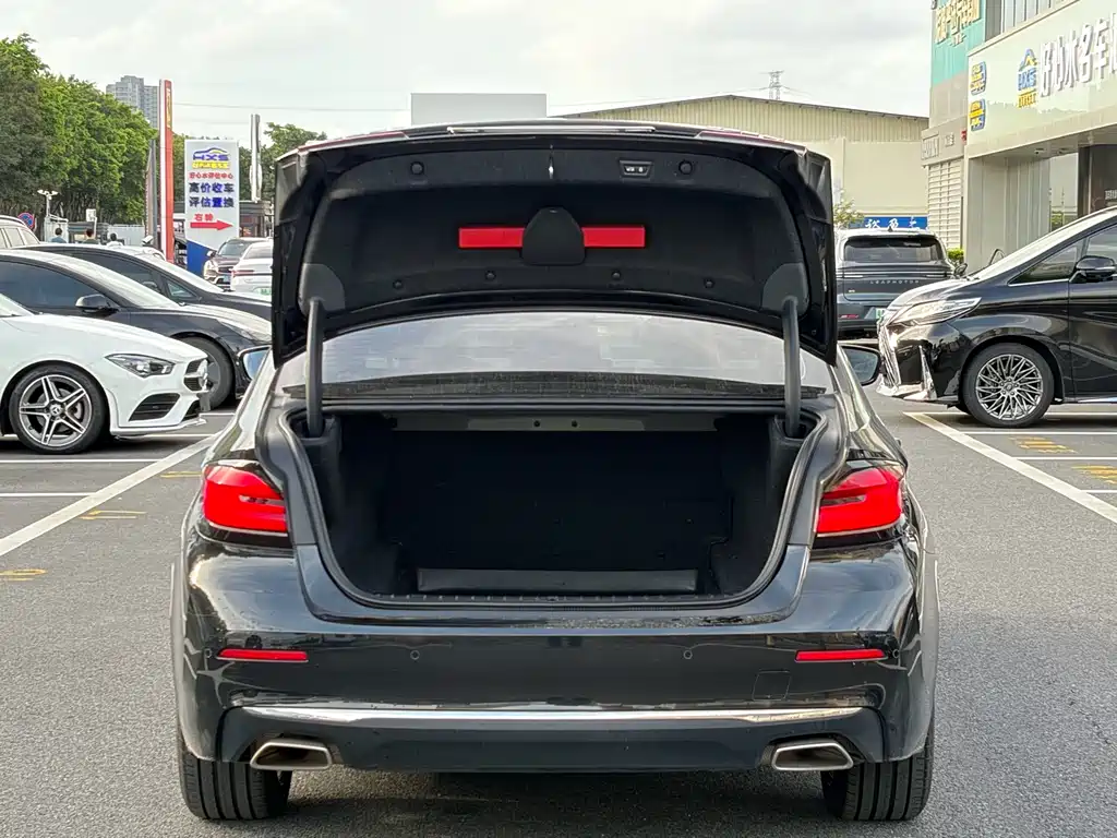 BMW 5 Series 2021