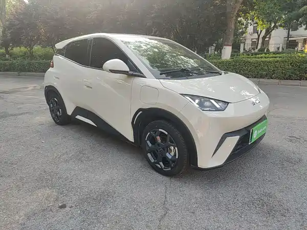 BYD Seagull 2024