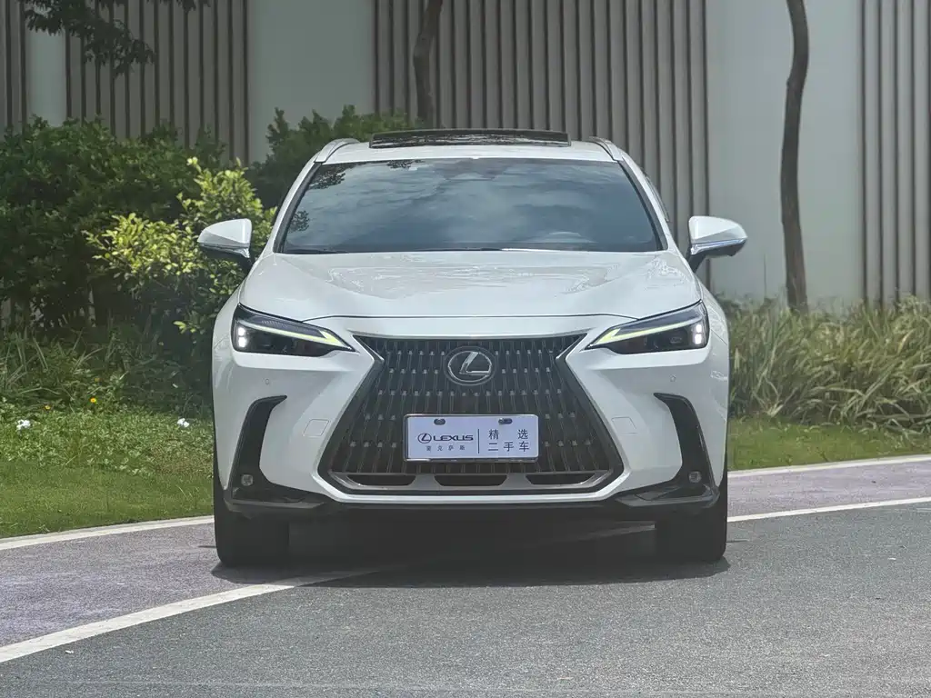Lexus NX 2023 — фото 2
