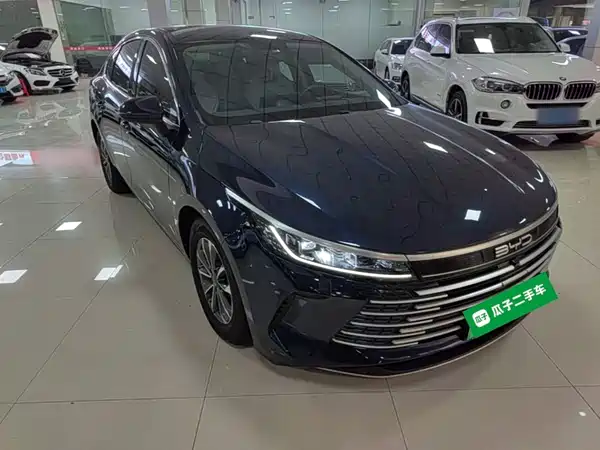 BYD Destroyer 05 2024