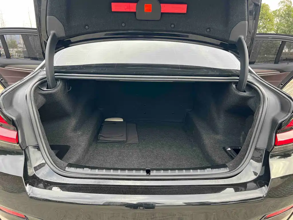 BMW 5 Series 2019 — фото 17