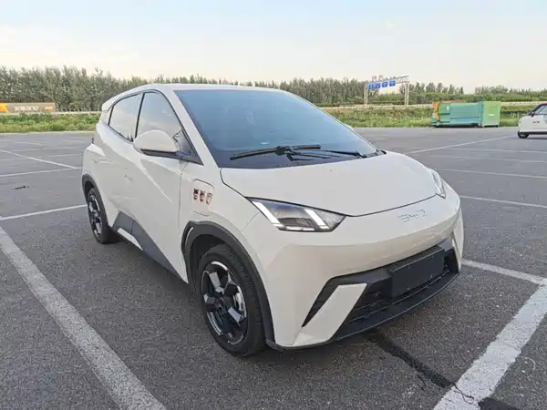BYD Seagull 2024