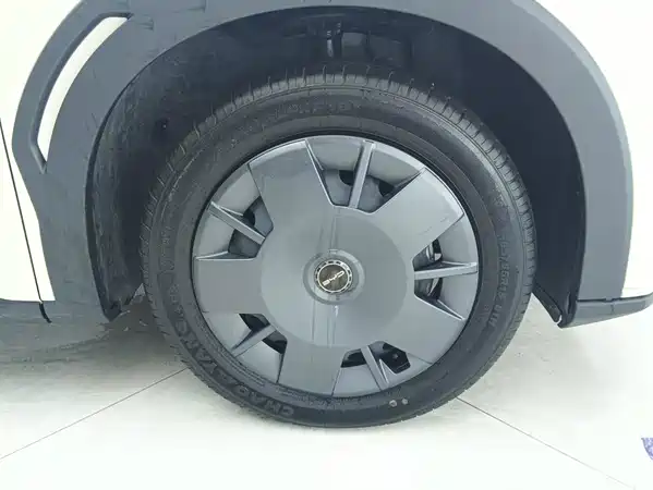 BYD Seagull 2024