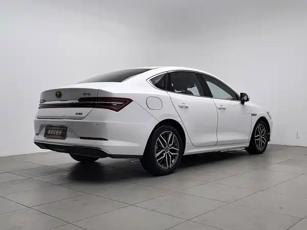 BYD Qin Pro New Energy 2019