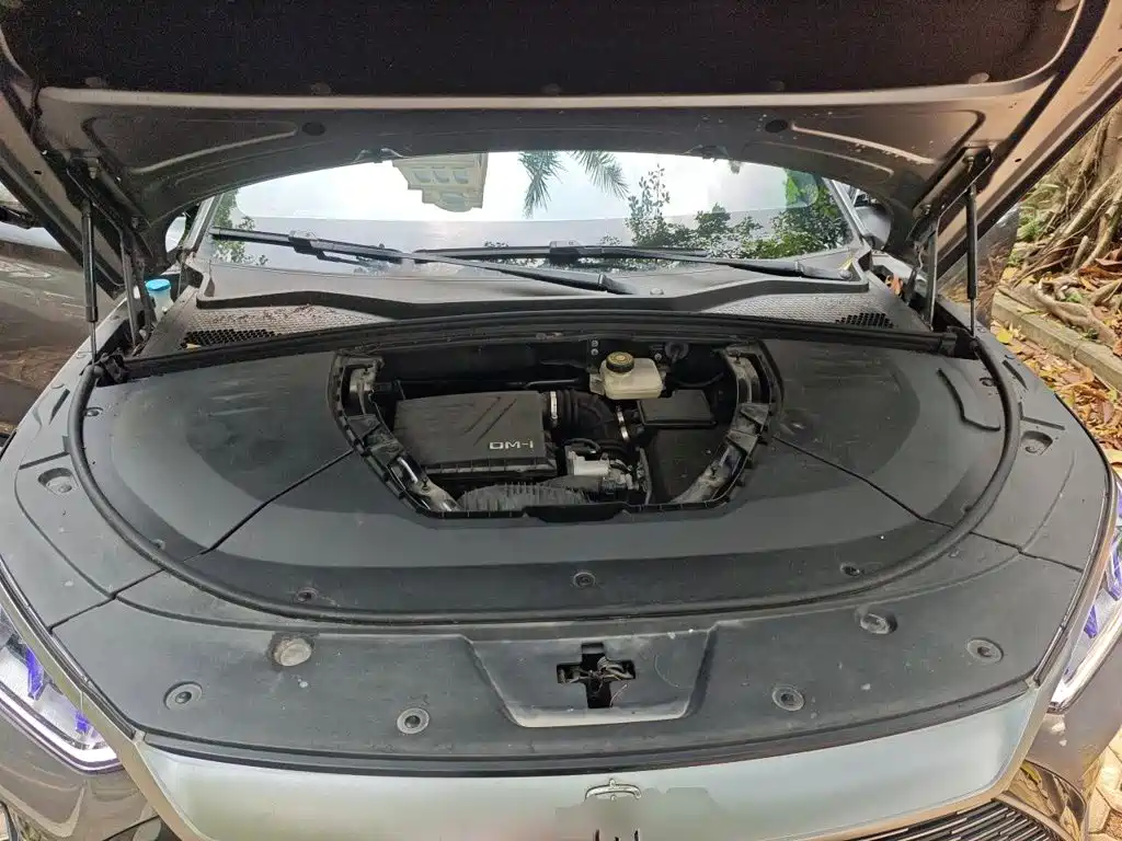BYD Song PLUS New Energy 2022 — фото 21