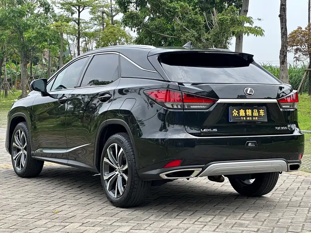 Lexus RX 2021 — фото 14