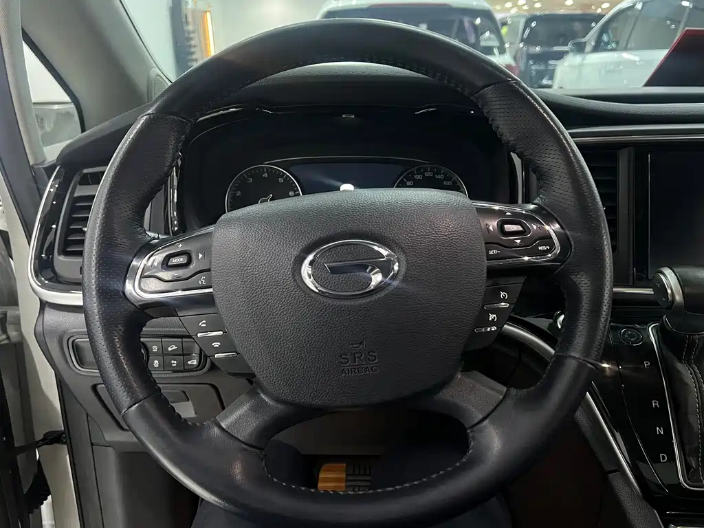 GAC Motor Trumpchi M8 2020 — фото 18