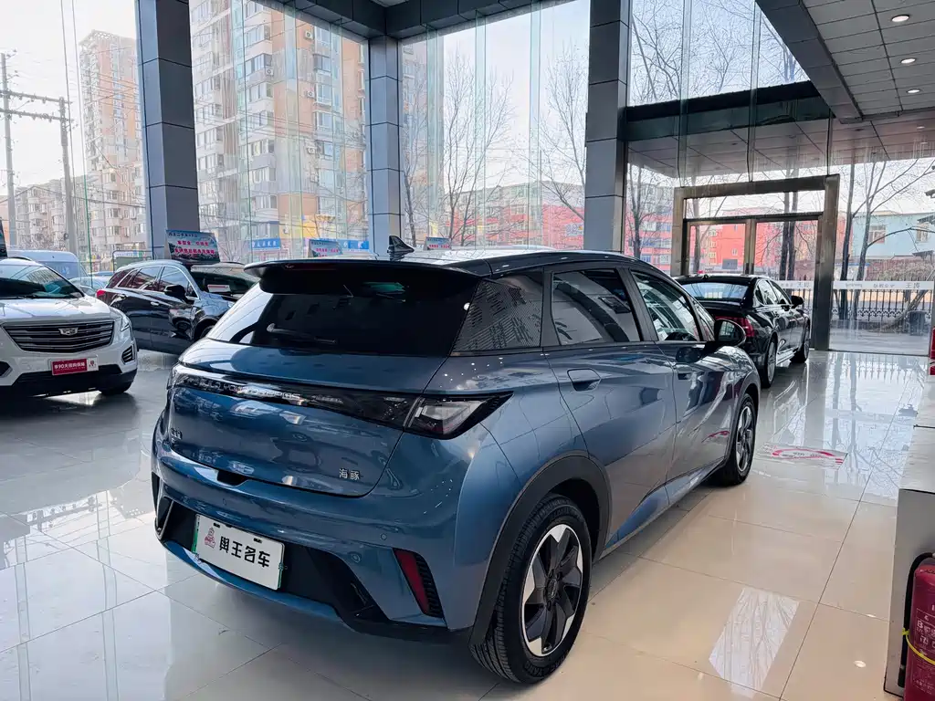 BYD Dolphin 2024