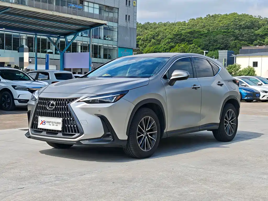 Lexus NX 2024 — фото 1