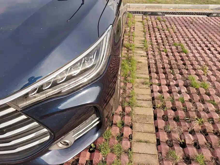 BYD MAX 2019
