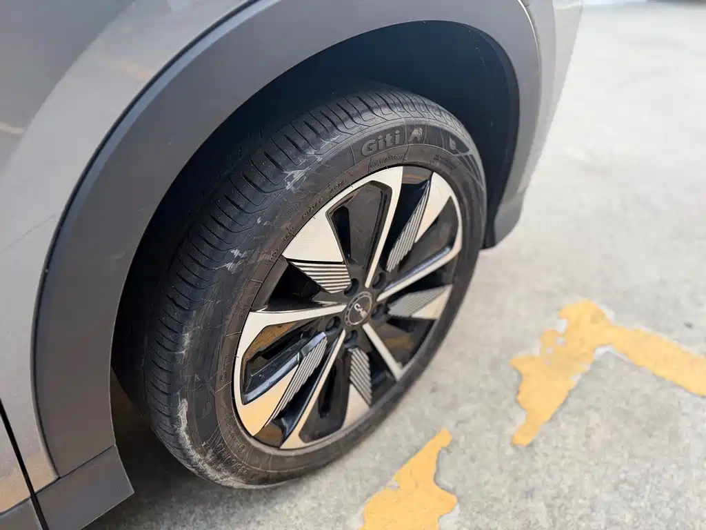 BYD Song PLUS New Energy 2025 — фото 26