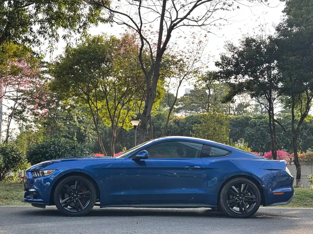 Ford Mustang 2017 — фото 4