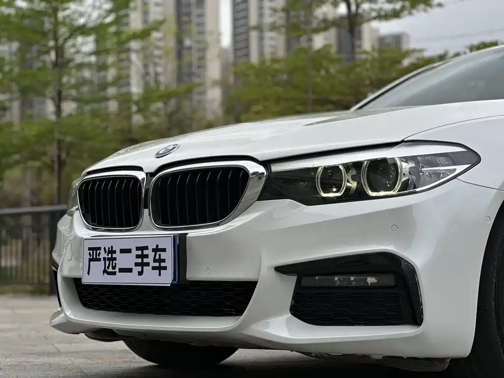 BMW 5 Series 2019 — фото 10