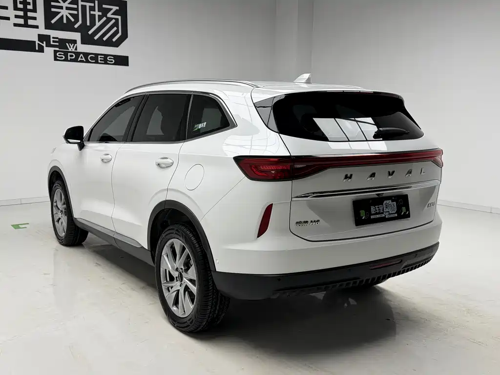 Haval H6 2021 — фото 6