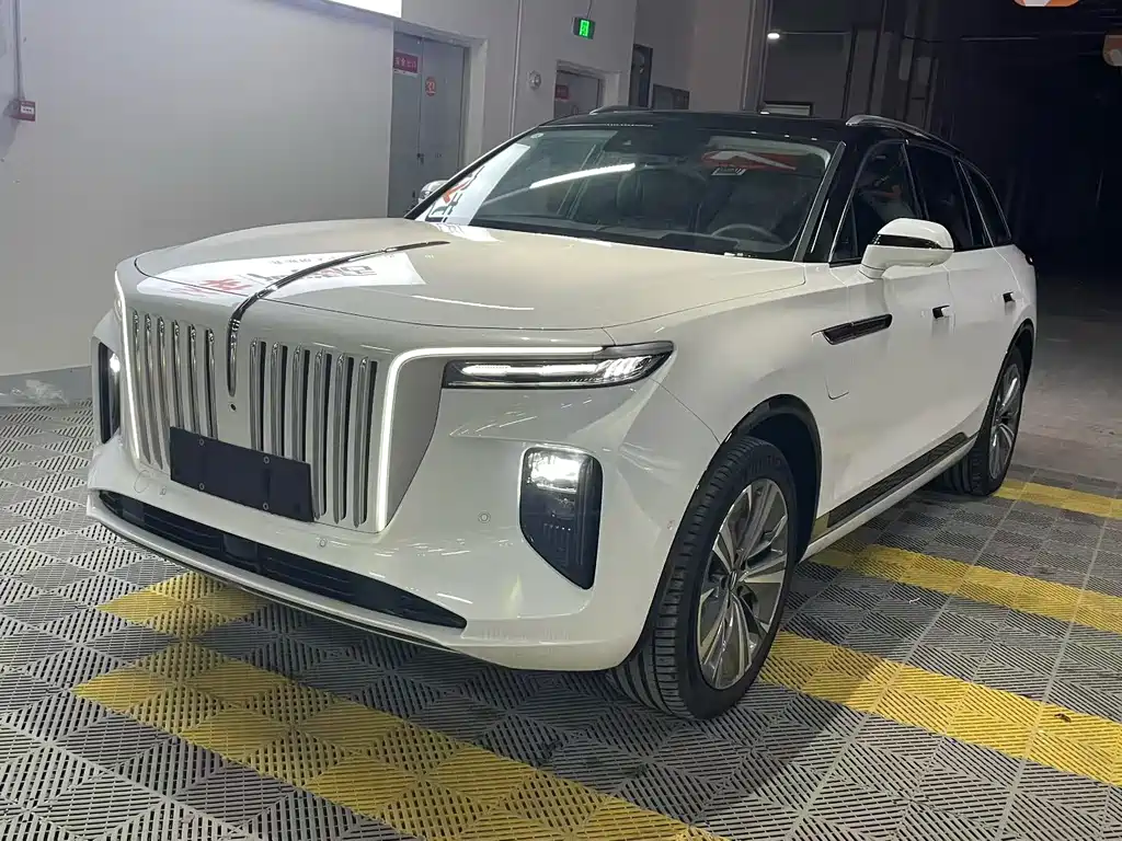 Hongqi E-HS9 2021