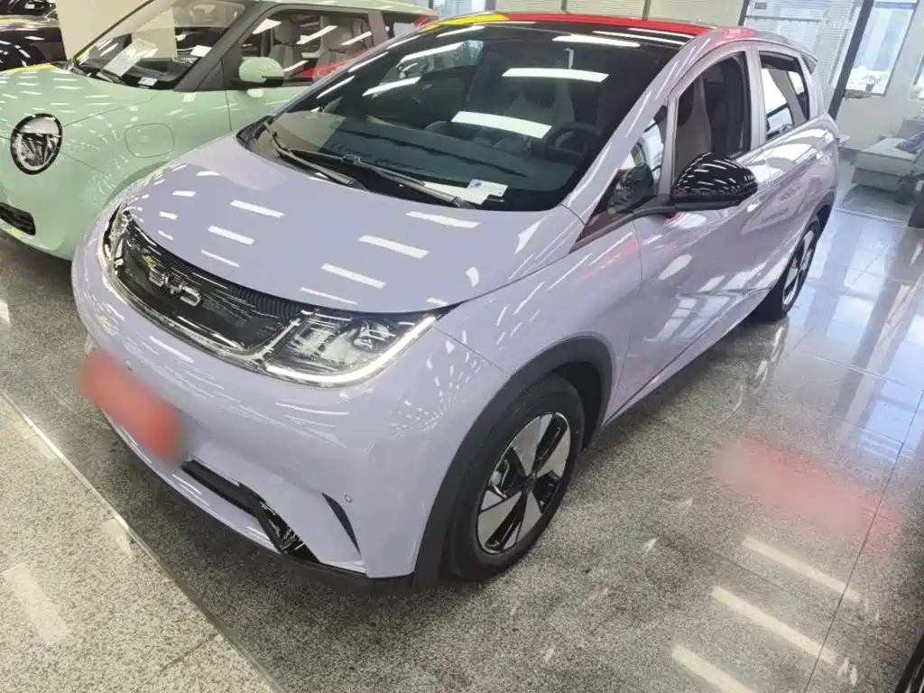 BYD Dolphin 2024