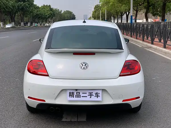 Volkswagen Beetle 2014