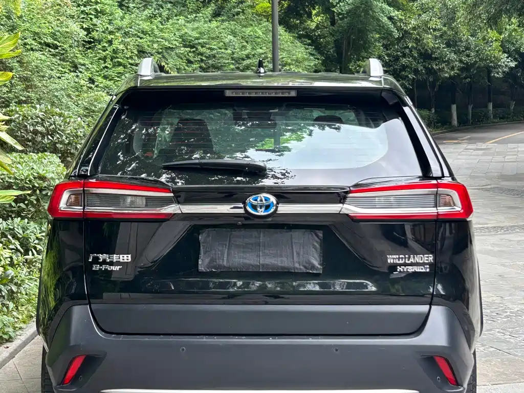 Toyota Wildlander 2021 — фото 13