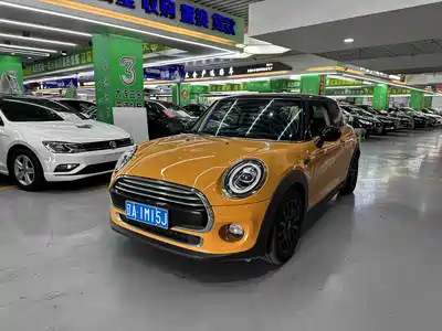 MINI MINI 2017