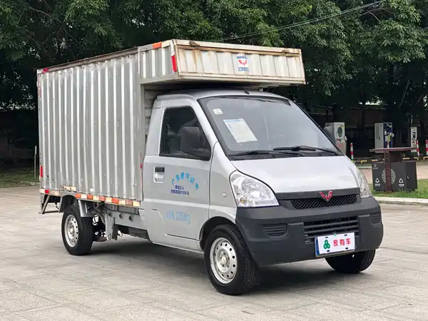 Wuling Rongguang Light Truck 2019