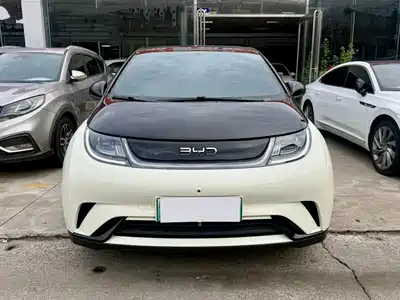 BYD Dolphin 2025