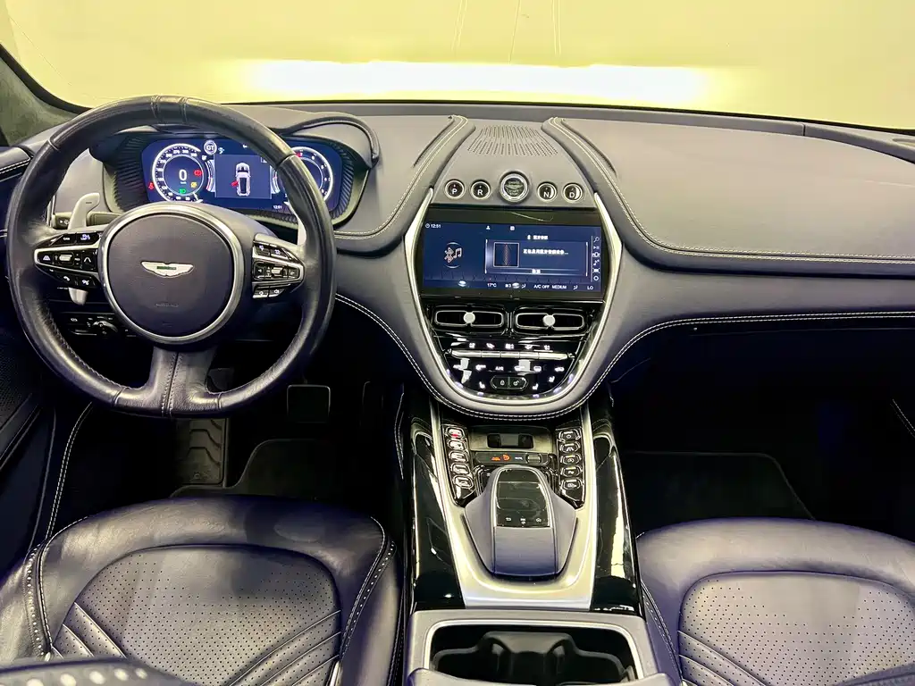 Aston Martin DBX 2021 — фото 11