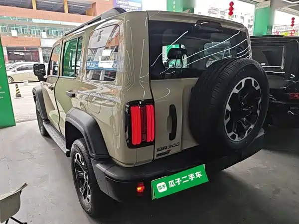 Tank 300 New Energy 2025
