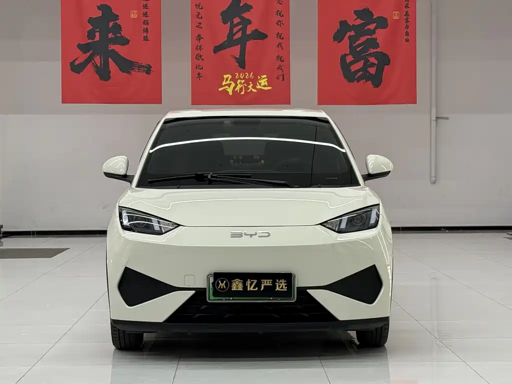 BYD Seagull 2025